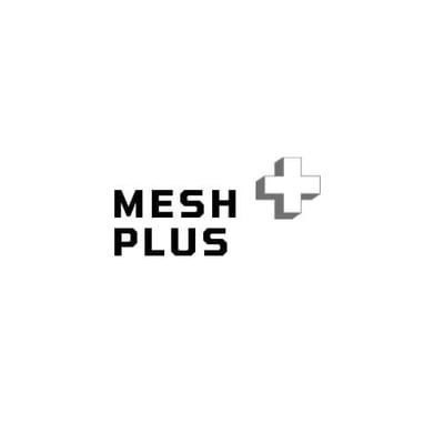 MeshPlus logo