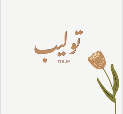 توليب للوح logo
