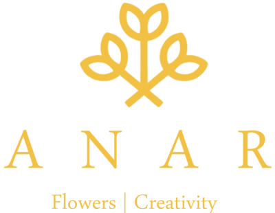 ANAR