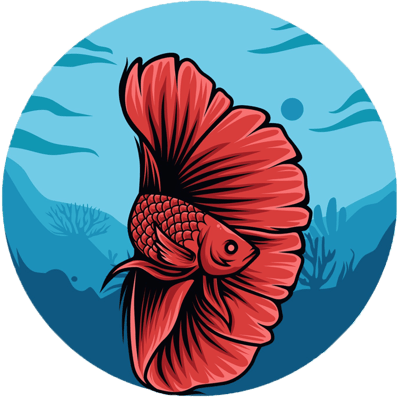 bettafish_sa