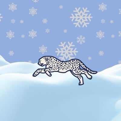 Cheetah store logo