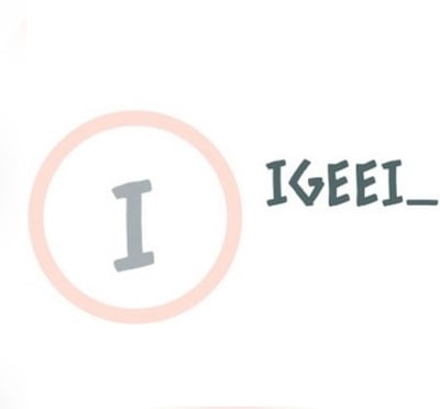 _IGEEI logo
