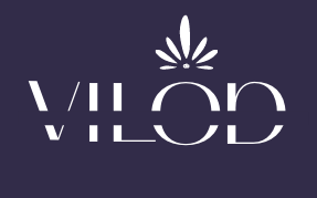 V Boutique logo