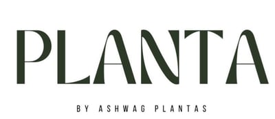 Plant.s3 logo