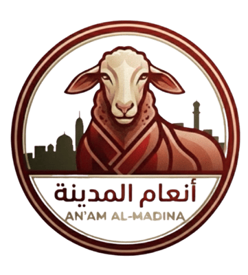 inam almadina logo