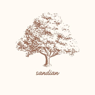 sandian logo