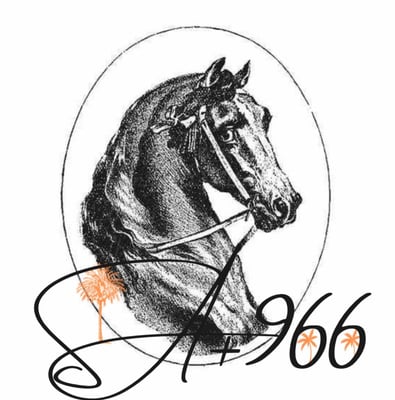 SA+966 logo