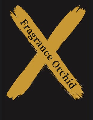 main-logo