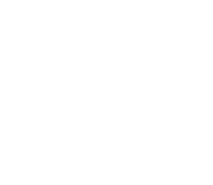 منصة تنوين