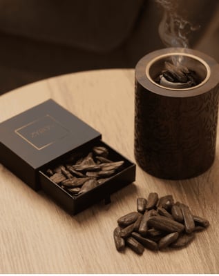 Electronics City logo