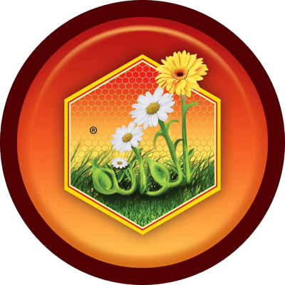 ألوانه ┃ ALWANOH logo