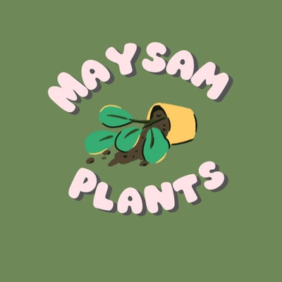 Maysam Plants