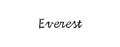 Everest logo