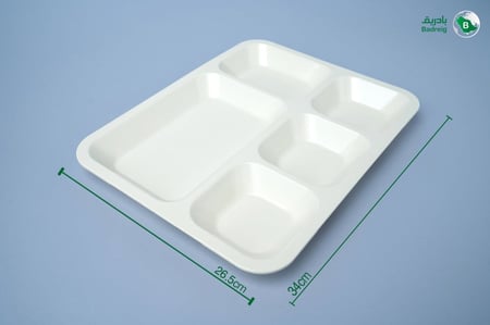 صينية مقسمة 5 اقسام