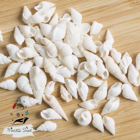 466 - اصداف شكل 4