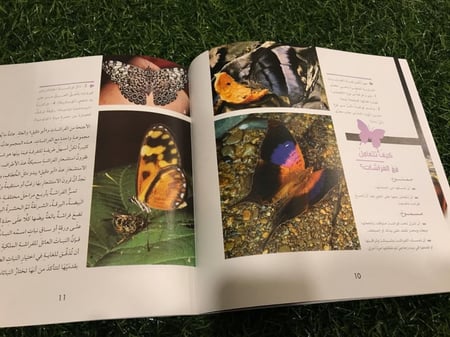 كتاب وجها لوجه مع الفراشات ناشونال جيوغرافيك