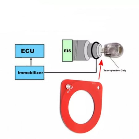 لمبة فحص كويل انتينا