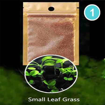 بذور نباتات مائية لاحواض السمك نوع 1 Small Leaf Grass