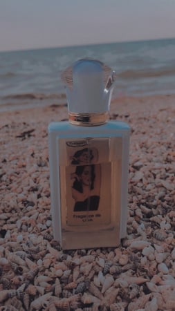 عطر ذا بالم النسائي الابيض اودو بارفيوم 90مل