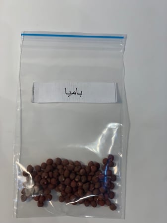 بذور باميا