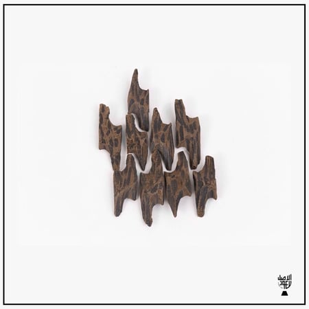 كمبودي ملكي(تايقر)