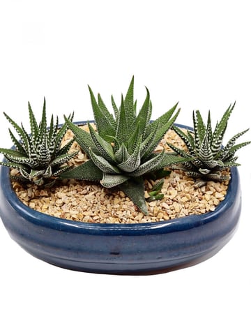 صباريات مشكل مركن 20 سم سيراميك