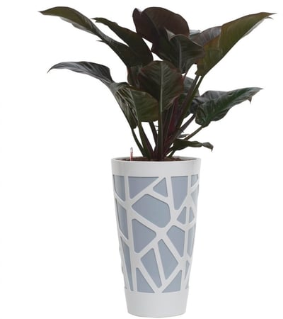 مركن أيدال أبيض و رمادي