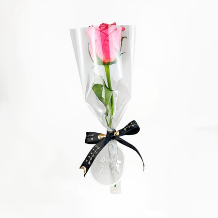 توزيعات يوم المعلم