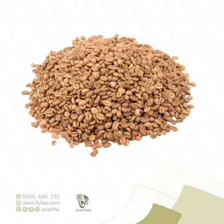 بن هرري باشنفر فاتح