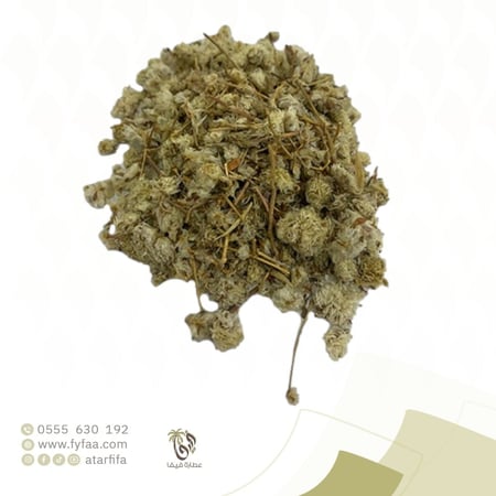 زهرة رجل الاسد -  50 جرام