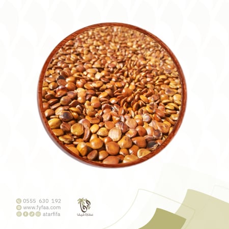 بذور السدر ( بذور النبق )