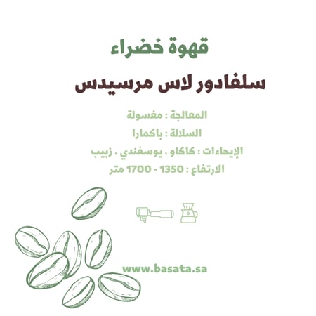 قهوة مختصة خضراء - السلفادور 500 جرام