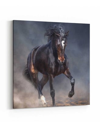 لوحة كانفاس مربع على إطار خشبي، تصميم حصان جامح في الصحراء، للمنزل، غرفة المعيشة، المكتب، الديكور