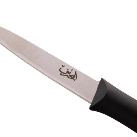 سكين سلخ صغير المحترف FIAFI