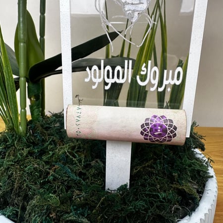 فازة مولود R10