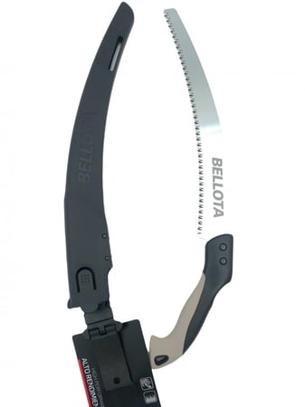 منشار شجر اسباني