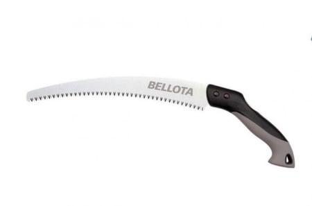 منشار شجر اسباني