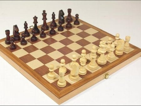 CHESS شطرنج
