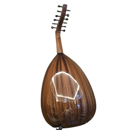 عود زرياب للبيع