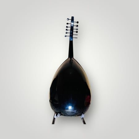 عود موسيقي مستوى متقدم مع شنطة وملحقات – صوت أصيل وسعر مناسب | متجر وتر للموسيقى