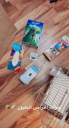 عصافير - البداجي