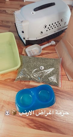 أرنب - الأنقورا " للحجز"