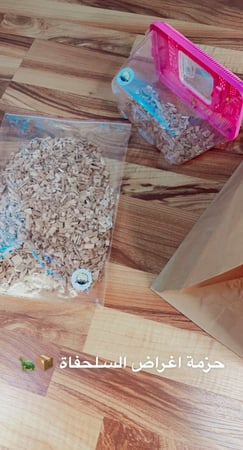 السلاحف البرية