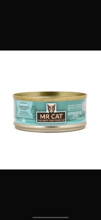 مستر كات بنكهة سمك المحيط مع السمك الابيض بالجلي