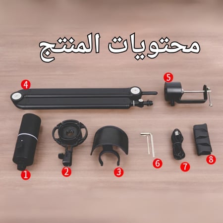 مايك إحترافي