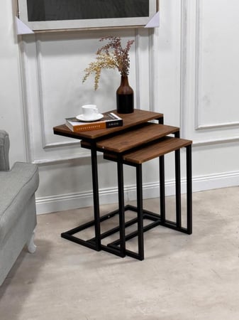طقم طاولات جانبية (3 قطع) بتصميم عصري أنيق
