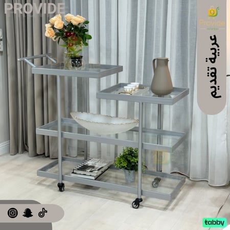 عربية تقديم بلمسة فضية عصرية