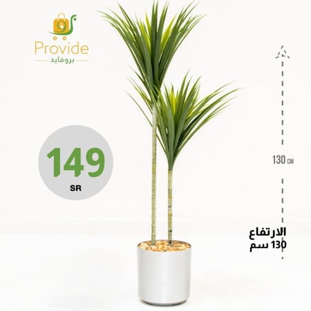 شجرة بمركن ابيض