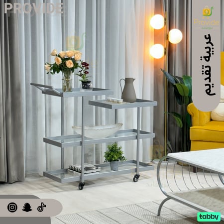 عربية تقديم بلمسة فضية عصرية