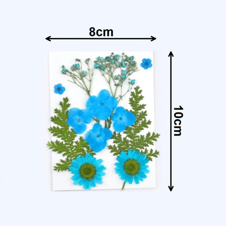 ورود مجففة - كيس صغير